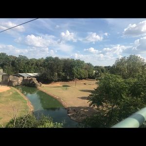 Meet your Posher, Jael